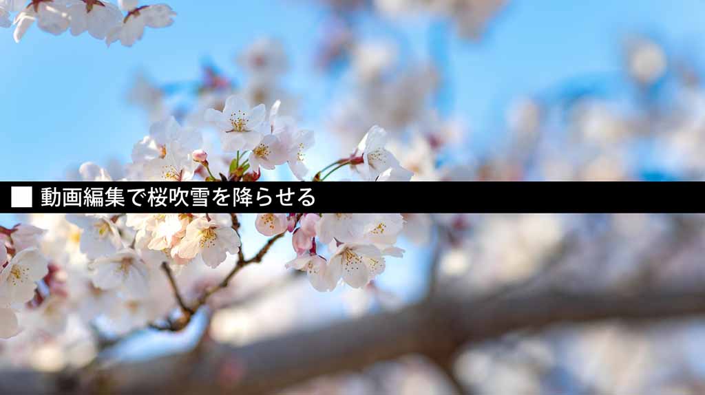 春爛漫 動画編集で桜吹雪を降らせる 動画pro Com